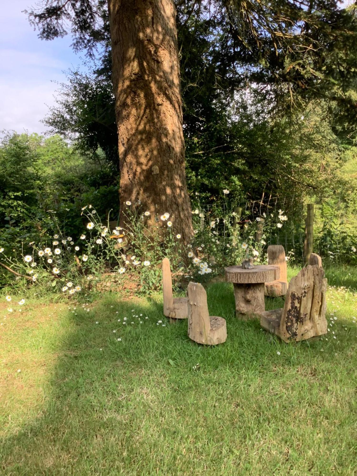 Ty Twt - Complete * Llandysul